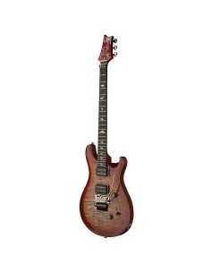 SE Custom 24 Floyd color...