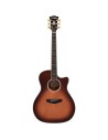 Gramercy Autumn Burst DAEG200ATBGP2 D'Angelico