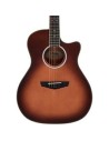 Gramercy Autumn Burst DAEG200ATBGP2 D'Angelico