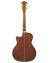Gramercy Autumn Burst DAEG200ATBGP2 D'Angelico