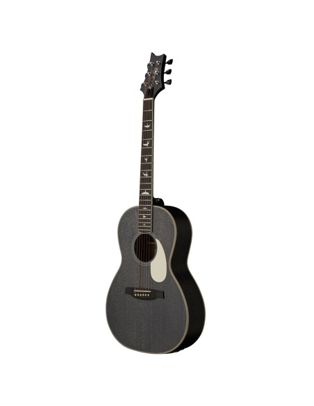 SE P20E Doghair (brillant) 2025