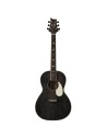 SE P20E Doghair (Gloss) 2025