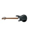 Sterling by Music Man RAY34HH Charbon givré