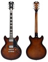 D'ANGELICO PREMIER MINI DC BRAUN BURST