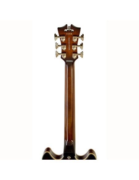D'ANGELICO PREMIER MINI DC BROWN BURST