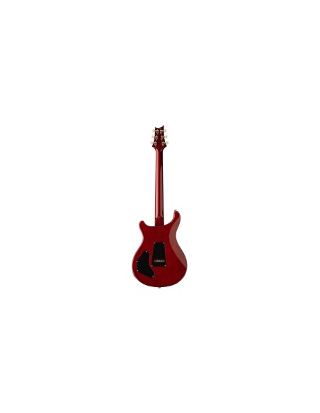 DGT Birds Dark Cherry Burst 2024