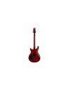 DGT Birds Dark Cherry Burst 2024