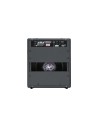 Combo Leeds 25R 1x10 25W