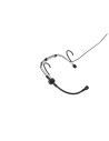 SM39-LM3