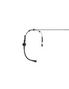 SM39-LM3