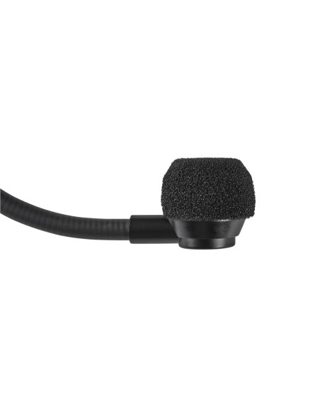 SM39-LM3