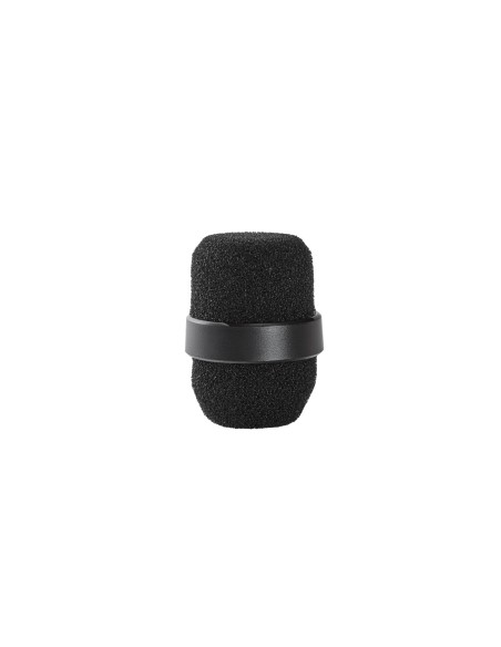 SM39-LM3