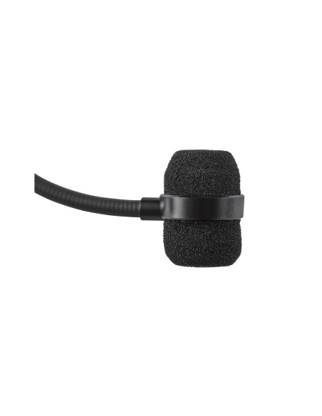 SM39-LM3