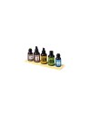 6500 System 65 Guitar Maintenance Kit