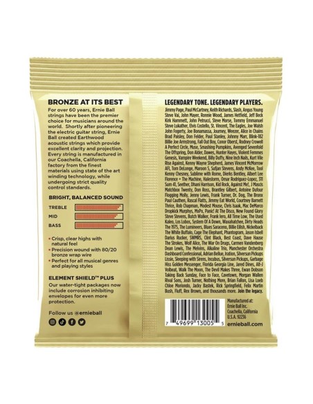 Ernie Ball 3005 Earthwood Custom Med 8020 12.5 56