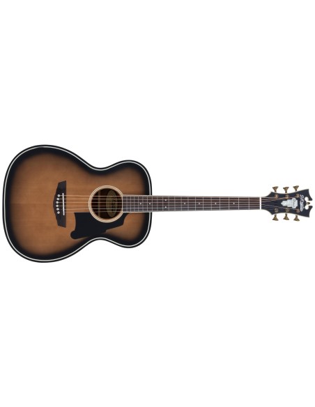 D’ANGELICO  PREMIER TAMMANY AGED BURST M-DAPOMAGBAP