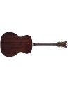 D’ANGELICO  PREMIER TAMMANY AGED BURST M-DAPOMAGBAP
