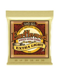 Ernie Ball 2006 Earthwood...