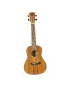 Eko Uku Duo Ukulele Concerto