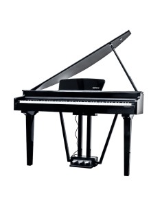 ECHORD GP-10B DIGITAL PIANO...