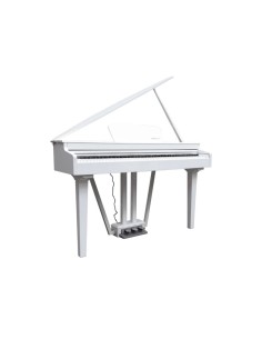 ECHORD GP-10W DIGITAL PIANO...