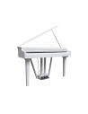 ECHORD GP-10W DIGITAL PIANO 88 TASTI BIANCO