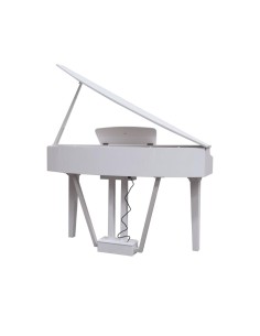 ECHORD GP-10B DIGITAL PIANO... 2