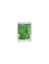 431R Tortex Triangle Green .88