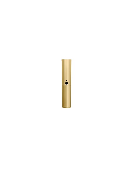 WA713-GLD Corpo oro BLX2 con capsula SM58 e Beta58A