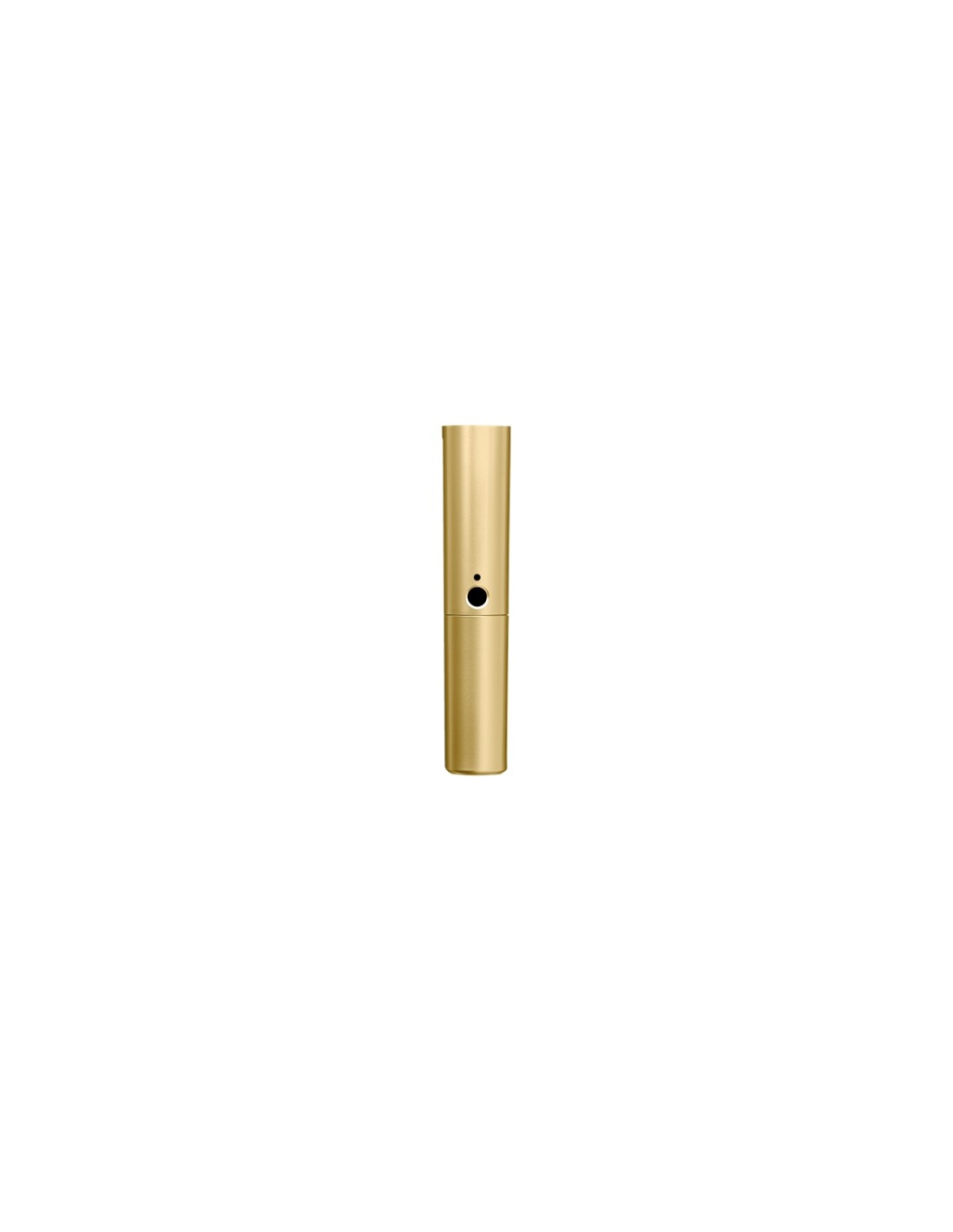 WA713-GLD Corpo oro BLX2 con capsula SM58 e Beta58A