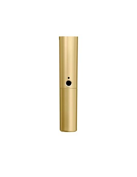 WA713-GLD Corpo oro BLX2 con capsula SM58 e Beta58A
