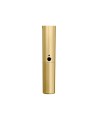 WA713-GLD Corpo oro BLX2 con capsula SM58 e Beta58A