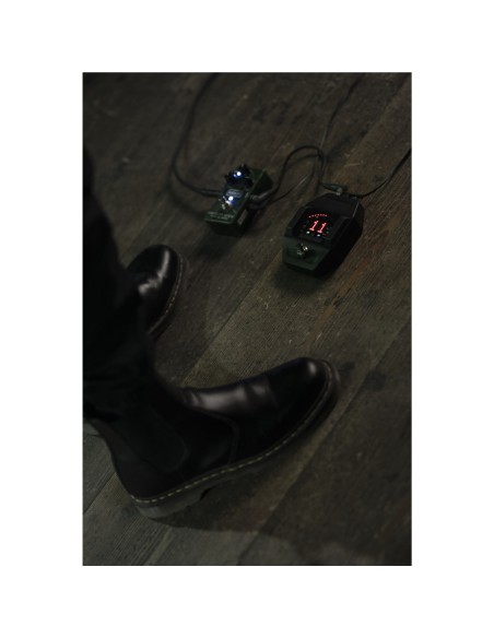 GLXD6+ Ricevitore Wireless a Pedale