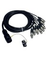 ITPRO/SY25M8F-2,5 Frusta 8 Canali Syntax M Cannon XLR F 2,5 mt