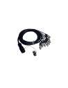 ITPRO/SY25M8F-2,5 Frusta 8 Canali Syntax M Cannon XLR F 2,5 mt