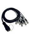 ITPRO/SY25F8M-2,5 Frusta 8 Canali Syntax F Cannon XLR M 2,5 mt