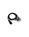 ITPRO/SY25F8M-2,5 Frusta 8 Canali Syntax F Cannon XLR M 2,5 mt