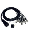 ITPRO/SY25F8M-2,5 Frusta 8 Canali Syntax F Cannon XLR M 2,5 mt