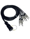 ITPRO/SY25M8JS-2,5 Frusta 8 Canali Syntax M Jack TRS 2,5 mt
