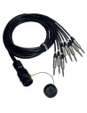ITPRO/SY25M8JS-2,5 Frusta 8 Canali Syntax M Jack TRS 2,5 mt