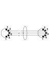 CFD 6 AA