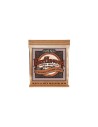 2152 Earthwood 12-String Custom Light Phosphore Bronze