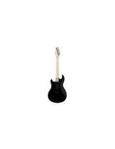 APC-2 Black 2