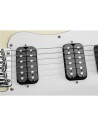APC-2 White