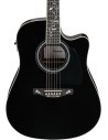 Ibanez AW391RCEBKH