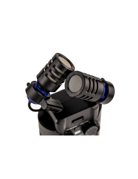 Zoom H5 Studio