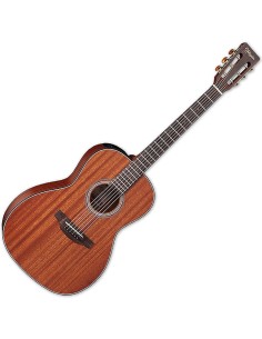 TAKAMINE GY11ME-NS