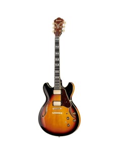 IBANEZ AS113 Brown Sunburst