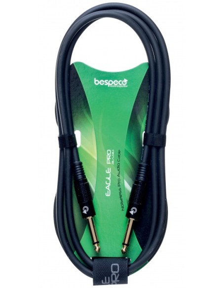 Bespeco EAJJ300
