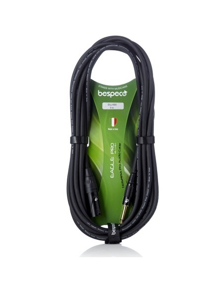Bespeco EAJX500